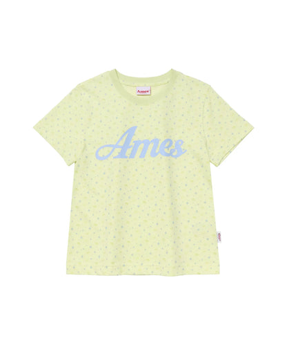 PPG Twinkle Crop Tee - 2 colors