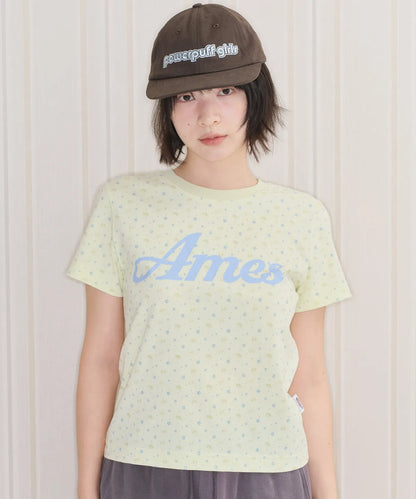 PPG Twinkle Crop Tee - 2 colors