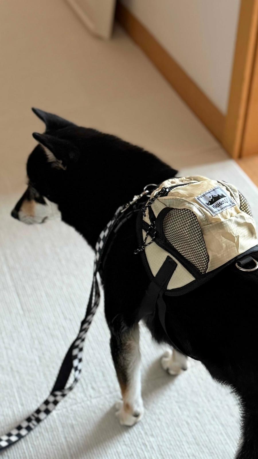 Heisan for Pet Bag - 4 colors