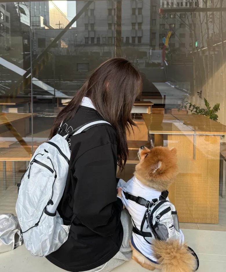 Heisan for Pet Bag - 4 colors