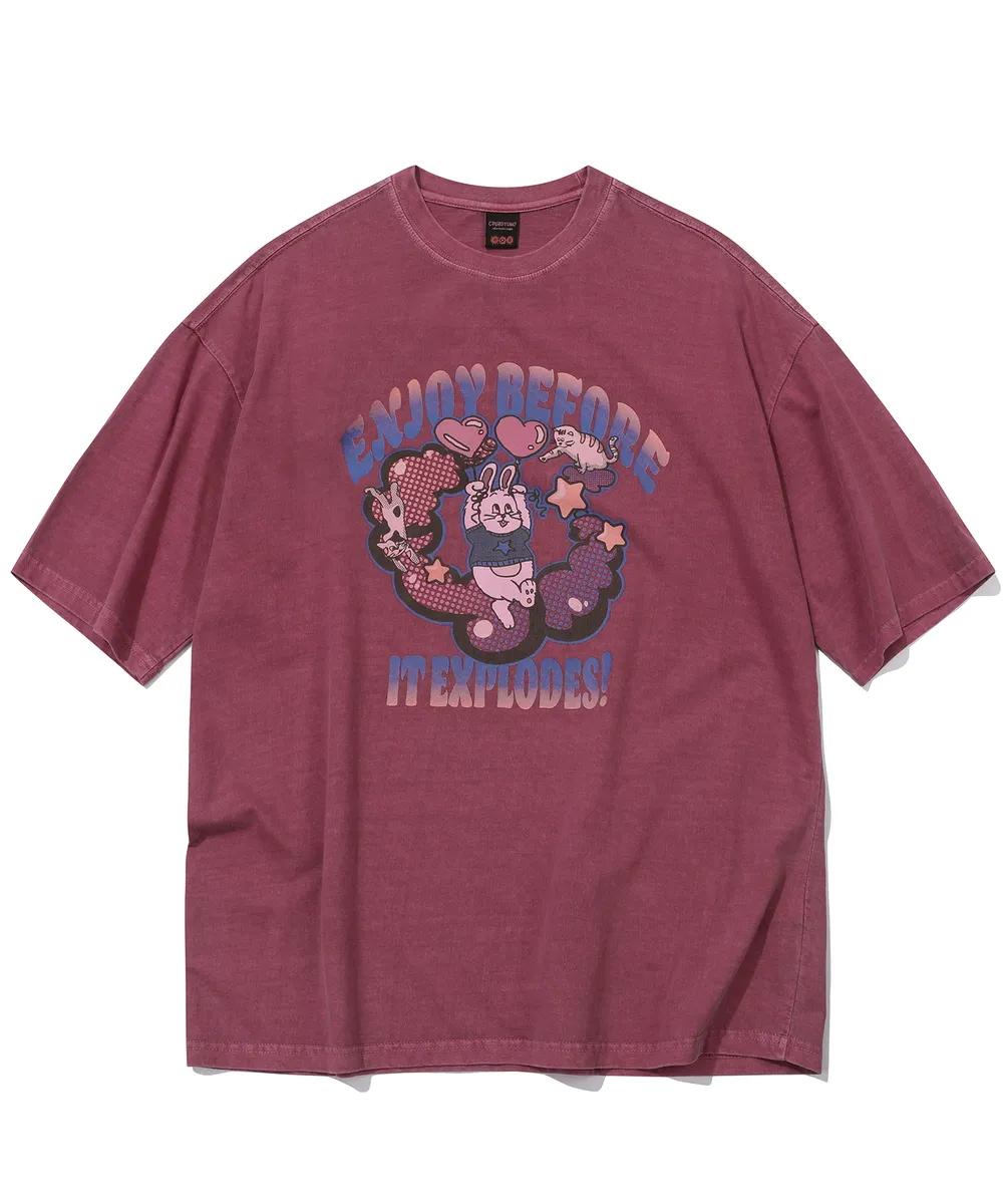 CPGN Explore Bunny Pigment Tee - 2 colors
