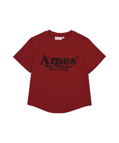Ames Worldwide Round Hem Crop Tee - 7 colors