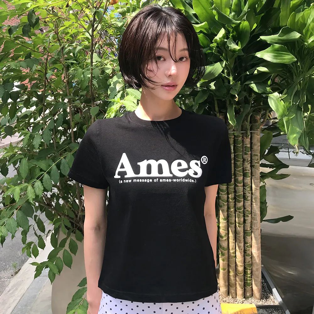 Ames Worldwide Basic Logo Tee - 12 colors